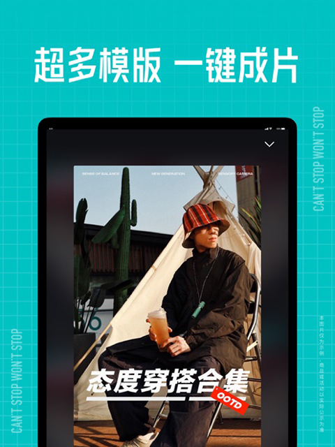 趴在薰衣草上的刺猬抱蓝莓壁纸